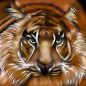 Meet your Posher, Tammy